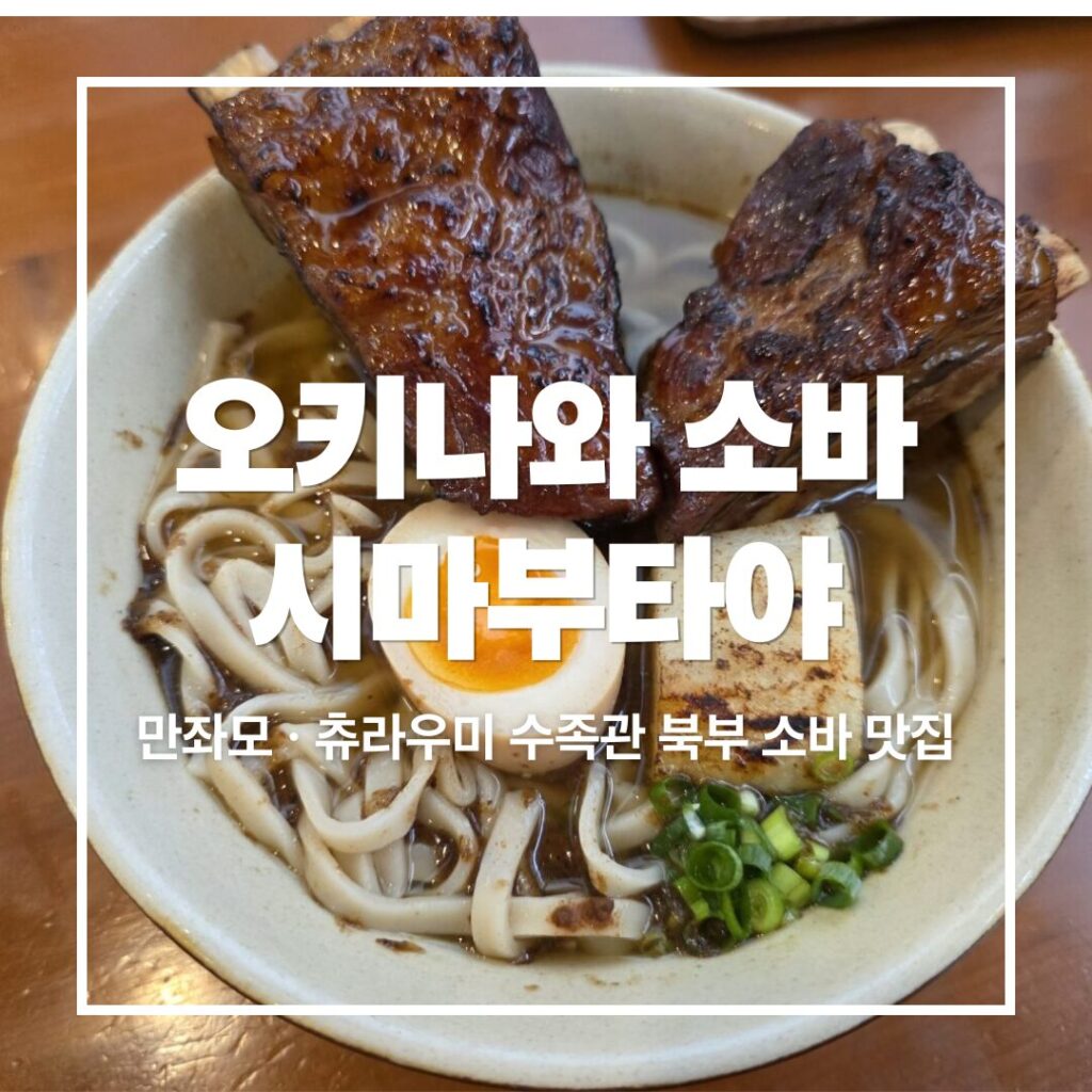 Okinawa Soba Shimabutaya