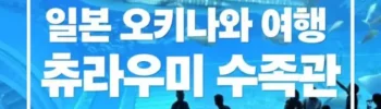 오키나와츄라우미수족관할인