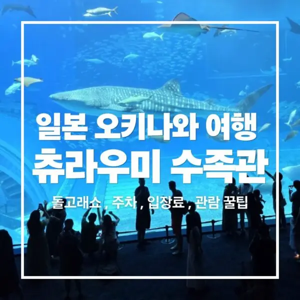 오키나와츄라우미수족관할인