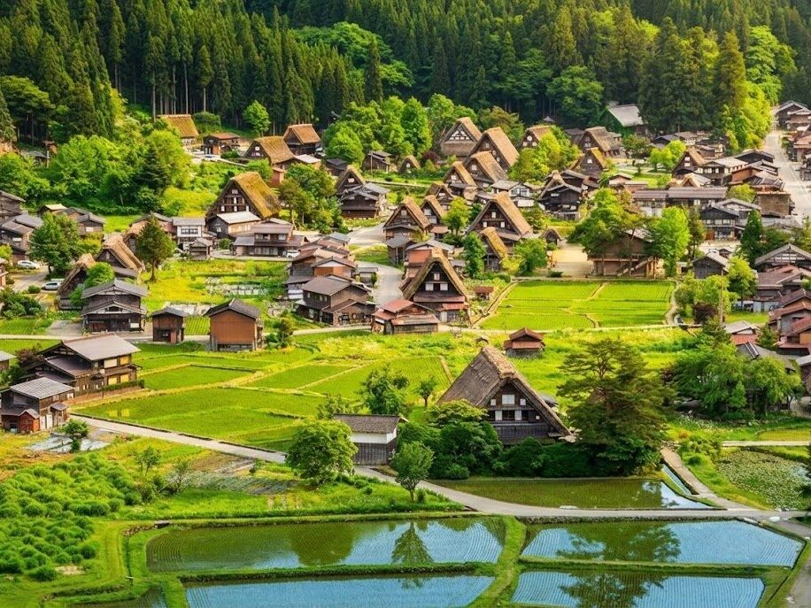 나고야여행-시라카와고