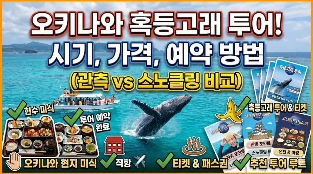 오키나와혹등고래투어