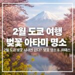 february-tokyo-cherry-blossom-atami