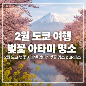 february-tokyo-cherry-blossom-atami