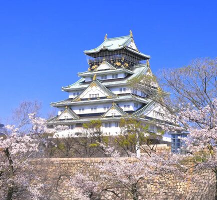 오사카 벚꽃 여행 시기