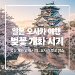 osaka-cherry-blossom-guide